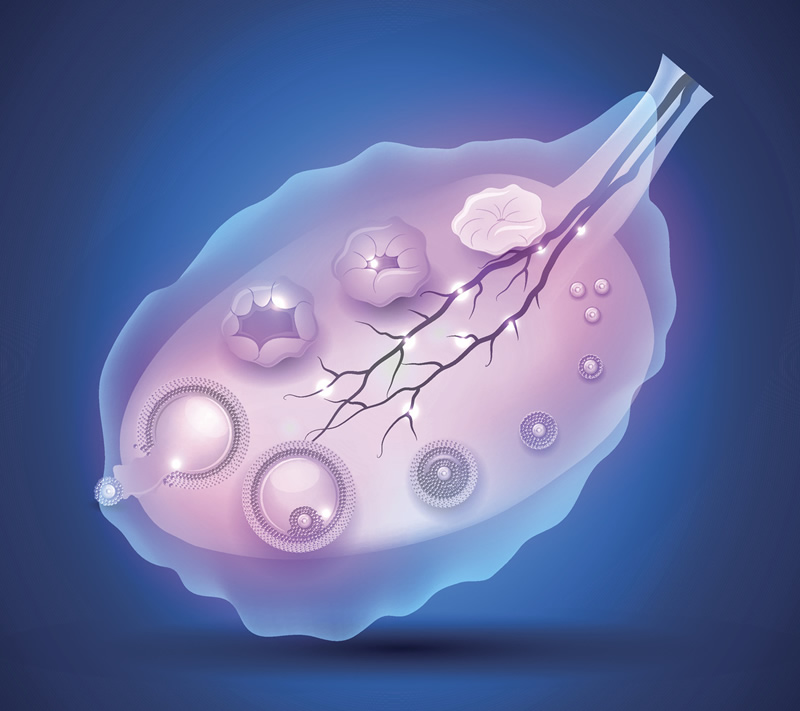 没有结婚证可以在武汉试管医院做试管吗？内附试管费用及成功率一览！